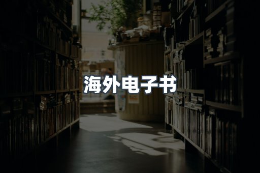 海外电子书
